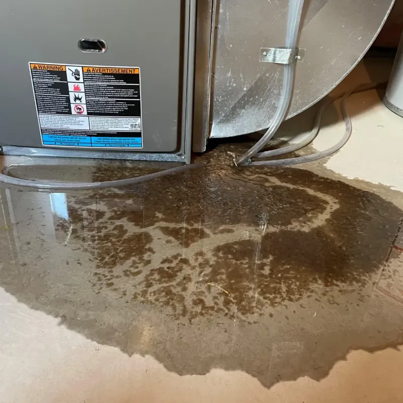 Appliance Leak Cleanup in Mount Greenwood, IL
