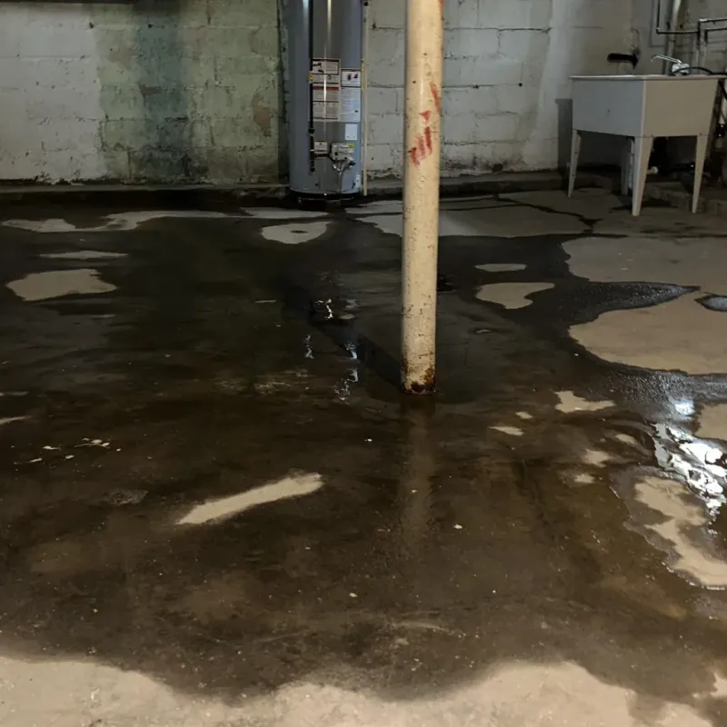 Emergency Water Extraction And Removal in Mount Greenwood, IL
